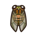 evening cicada