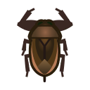 giant water bug