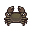 mitten crab