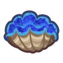 gigas giant clam